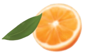 leaf-1