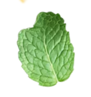 leaf-2